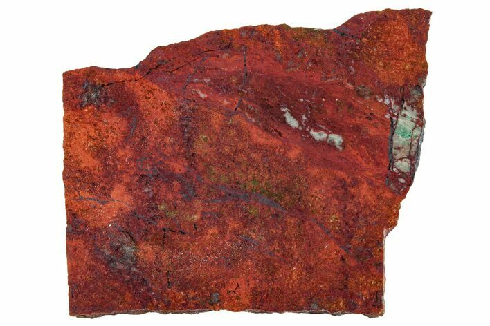 Vibrant Sonora Sunset (Chrysocolla Cuprite) Slab - Mexico #323913